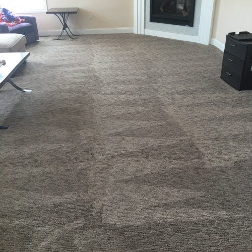 time for a maintenance cleaning, carpet cleaning kenosha, the dry guys