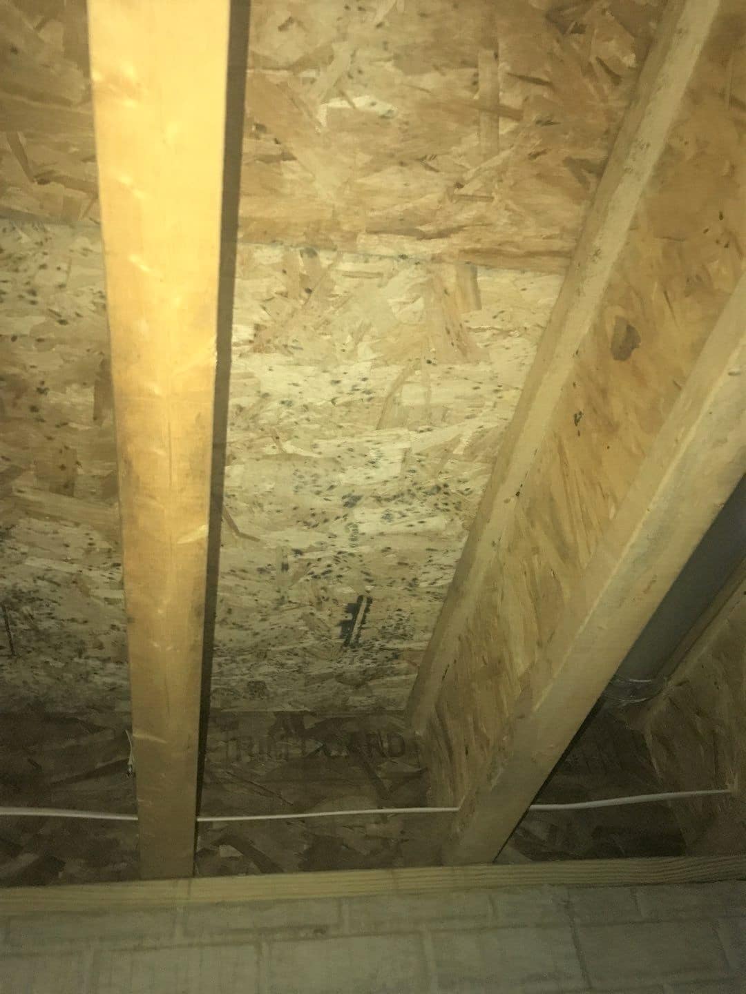 Mold – Basement Ceiling – New Construction