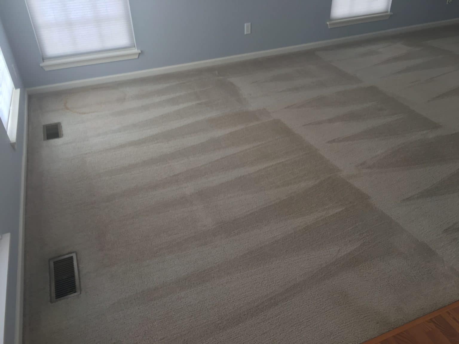 Carpet Cleaner in Kenosha The Dry Guys Kenosha, WI