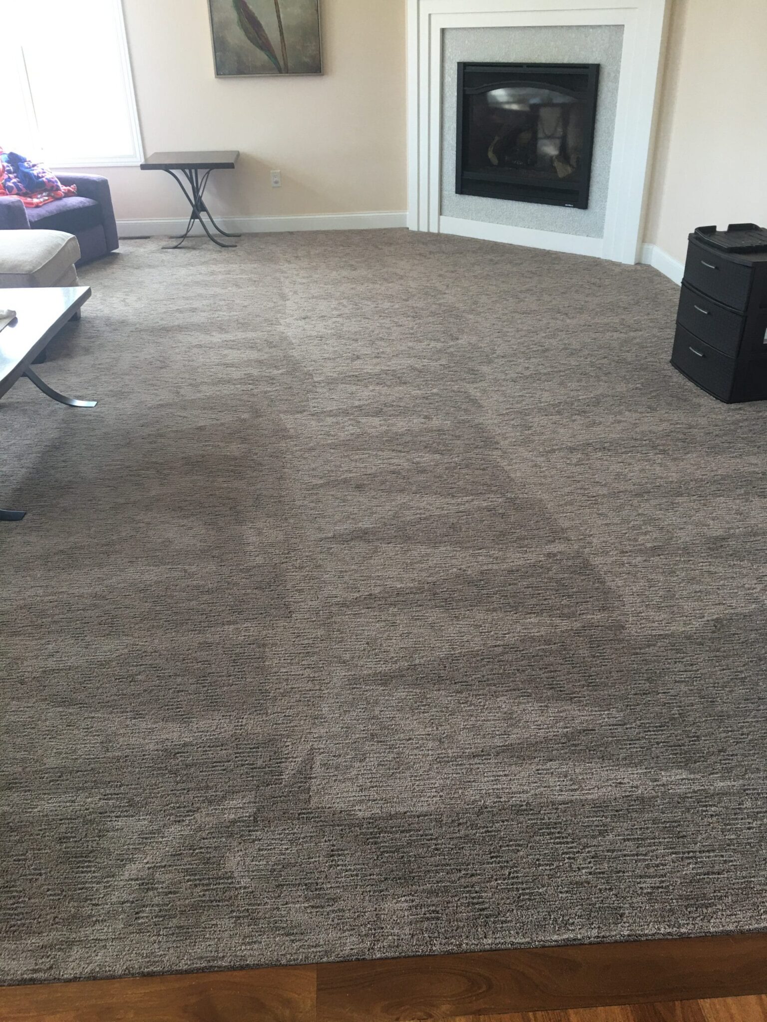 Commercial Flood Cleanup in Kenosha, best carpet cleaner in Racine, The Dry Guys flood cleanup