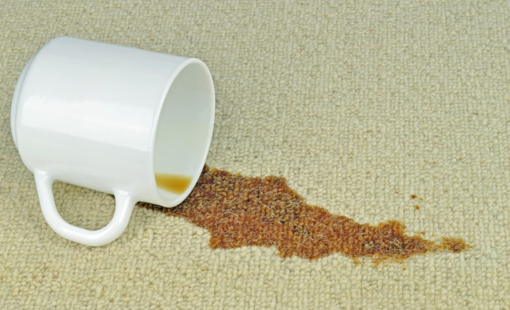emergency carpet stain removers in kenosha, carpet stain removal in kenosha, emergency carpet stains in kenosha