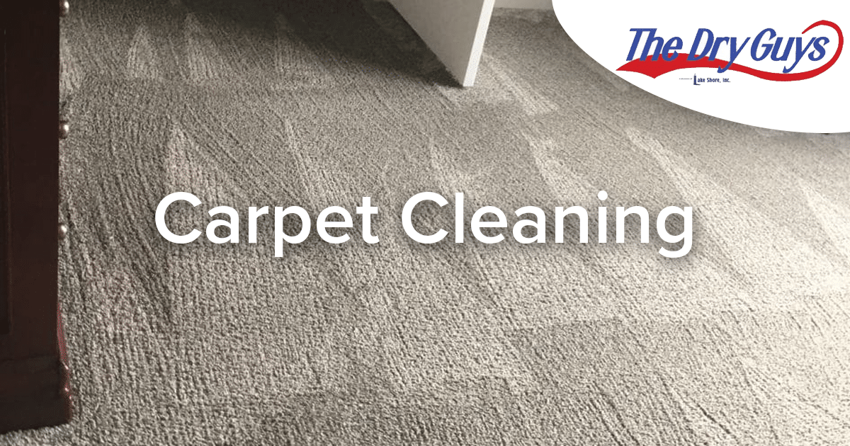 Carpet Cleaner in Kenosha The Dry Guys Kenosha, WI