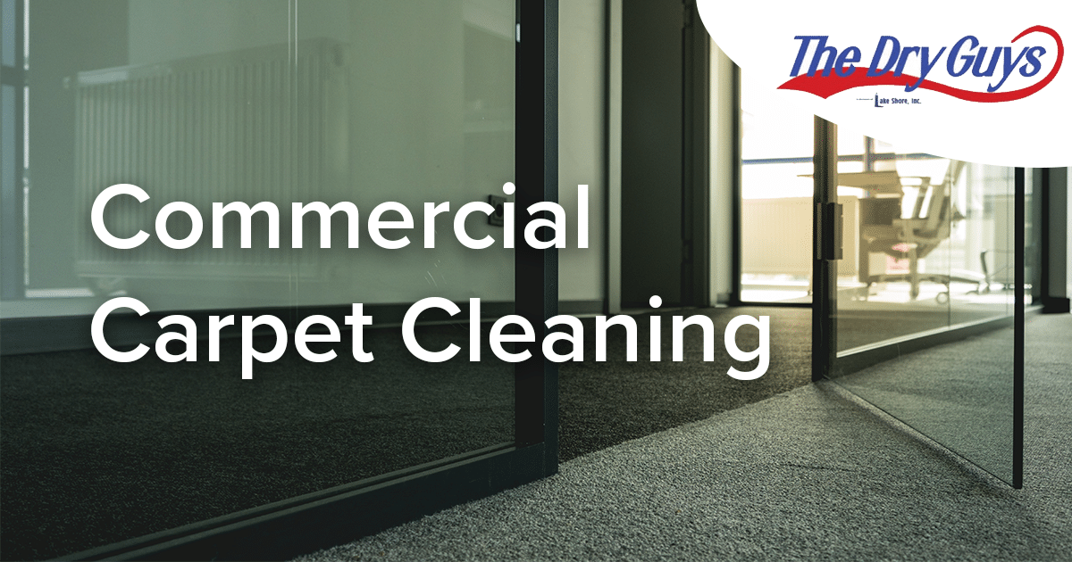Commercial Carpet Cleaning The Dry Guys Kenosha, WI