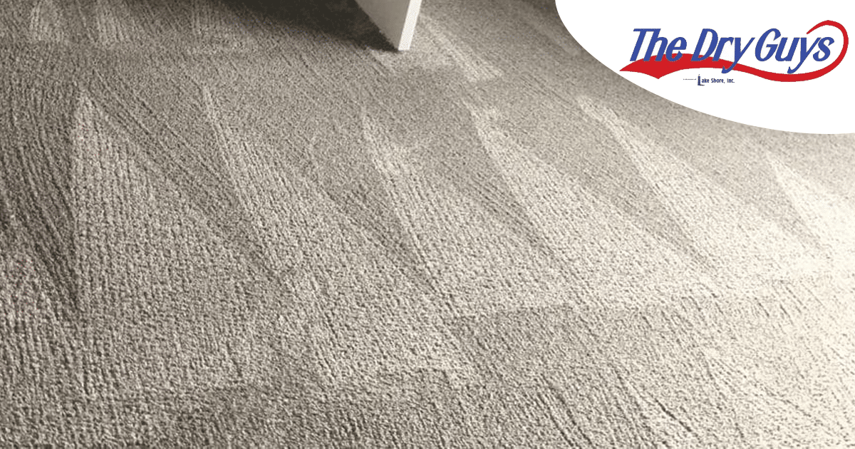 Racine's Best Commercial Carpet Cleaning Dry Guys