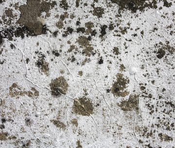 mold remediation in Racine, Racine mold remediation, mold remediation near Racine