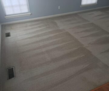 racine carpet cleaning company, the dry guys, racine carpet cleaning