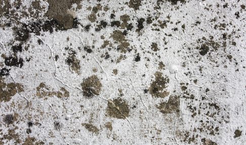 black mold removal in Kenosha WI, residential mold remediation Kenosha WI, home mold removal Kenosha