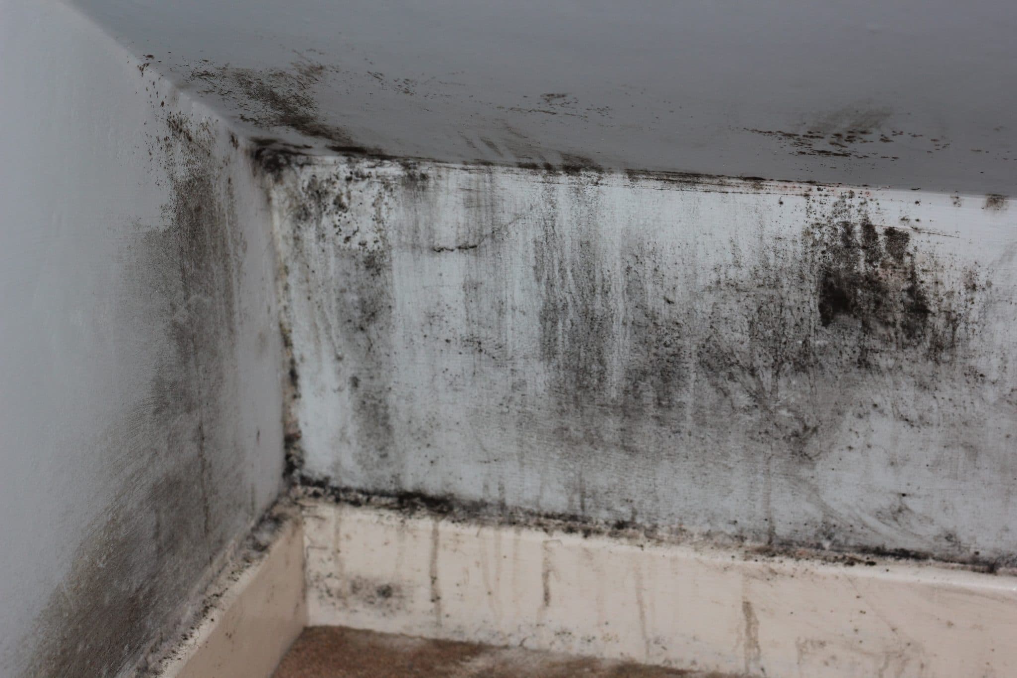 commercial mold removal in Kenosha county, Kenosha County commercial mold removal, commercial mold removal services in Kenosha County