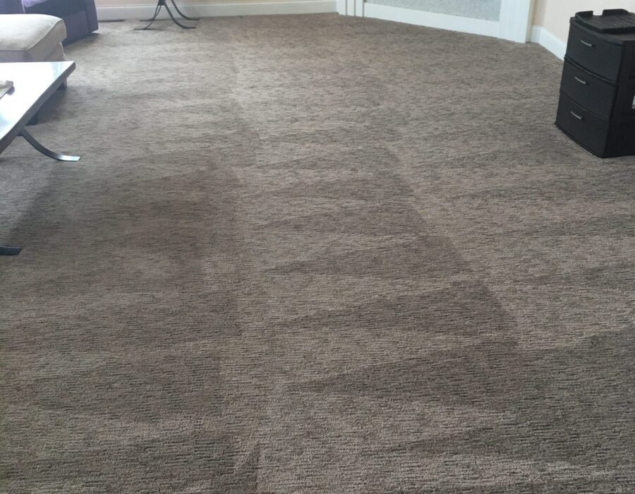 area rug cleaning in kenosha, best area rug cleaning in kenosha