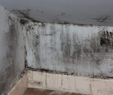 mold remediation in Racine, mold removal Racine, Racine mold cleanup
